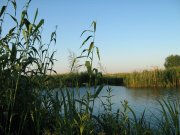 IMG_0591.jpg