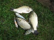 IMG_0106.jpg