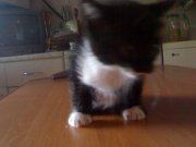 05072008424.jpg
