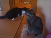 05072008425.jpg