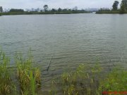 DSC00446.JPG