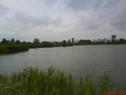 DSC00450.JPG