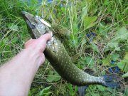 IMG_0669.jpg