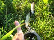 IMG_0671.jpg