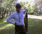 Сомик 2,5 кг на поролонку.jpg