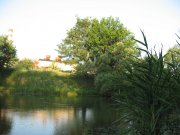 IMG_0925.JPG