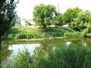IMG_0899.JPG