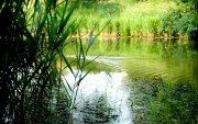 IMG_0894.JPG
