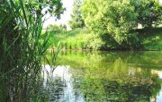 IMG_0898.jpg