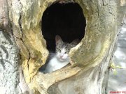 DSC00773.JPG