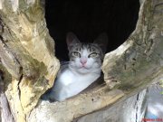 DSC00774.JPG