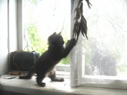 IMG_2251.JPG