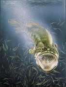 988_Bass2_281.jpg