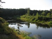 IMG_2431.jpg