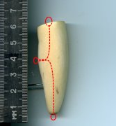 File0005.jpg