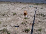 Photo-0217,.jpg