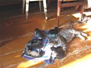 IMG_2315.JPG