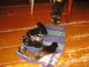 IMG_2318.JPG