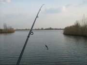 IMG_0125.jpg