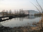 IMG_0130.jpg