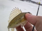 050120133175.jpg