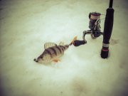 DSCN0428.jpg