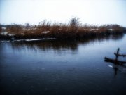 DSCN0431.jpg