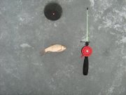 IMG_1214.JPG