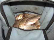 IMG_1215.JPG
