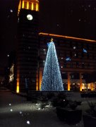 SDC17996.jpg