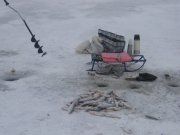 IMG_3836.JPG