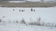 IMG_1384.jpg