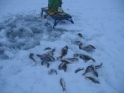 IMG_3864.JPG