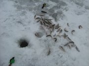 IMG_1233.JPG