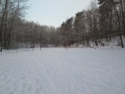 IMG_0021[1].JPG
