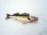 DSCN0547.JPG