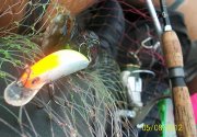100_4797.jpg
