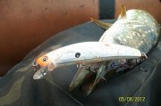 100_4796.jpg