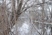 DSC_3351.jpg