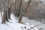 DSC_3359.jpg