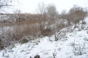DSC_3362.jpg