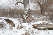 DSC_3370.jpg