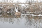 DSC_3374.jpg