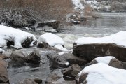 DSC_3376.jpg