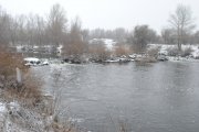 DSC_3379.jpg