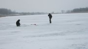 IMG_1395.jpg