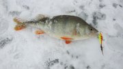 IMG_1400.jpg