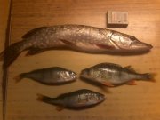IMG_20121111_180729.jpg
