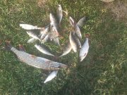 IMG_20121110_160439.jpg