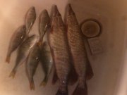 IMG_20121110_173755.jpg